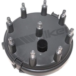 Order Distributor Cap by WALKER PRODUCTS - 925-1019 For Your Vehicle