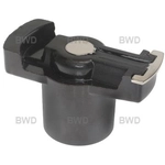 Order BWD AUTOMOTIVE - D599P - Distributor Rotor For Your Vehicle