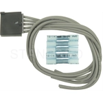 Order Dome Light Connector by BLUE STREAK (HYGRADE MOTOR) - S1619 For Your Vehicle