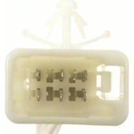 Order Dome Light Connector by BLUE STREAK (HYGRADE MOTOR) - S1424 For Your Vehicle