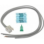 Order BLUE STREAK (HYGRADE MOTOR) - S1699 - Dome Light Connector For Your Vehicle