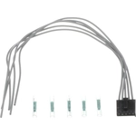 Order Dome Light Connector by BWD AUTOMOTIVE - PT1117 For Your Vehicle
