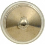 Order Dome Light by SYLVANIA - DE3175LL.BP2 For Your Vehicle