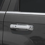 Order Door Handle Cover by PUTCO - 402019 For Your Vehicle