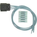 Order BLUE STREAK (HYGRADE MOTOR) - S1691 - Electrical Connector For Your Vehicle