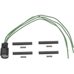 Order Door Lock Connector by BLUE STREAK (HYGRADE MOTOR) - S3019 For Your Vehicle