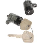 Order BLUE STREAK (HYGRADE MOTOR) - DL23B - Door Lock Cylinder Set For Your Vehicle