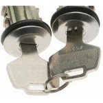 Order Door Lock Cylinder Set by BLUE STREAK (HYGRADE MOTOR) - DL162 For Your Vehicle