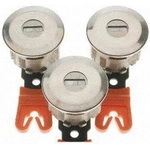 Order Door Lock Cylinder Set by BLUE STREAK (HYGRADE MOTOR) - DL178 For Your Vehicle