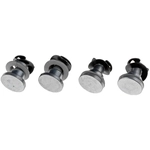 Order DORMAN - 38431 - Door Hinge Pin And Bushing Kit For Your Vehicle