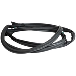 Order CROWN AUTOMOTIVE JEEP REPLACEMENT - 55395275AU - Door Weatherstrip For Your Vehicle