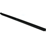 Order AUTOTECNICA - FD0818141 - Passenger Side Outer Door Window Belt Weatherstrip For Your Vehicle