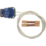 Order Door Wiring Harness Connector by BLUE STREAK (HYGRADE MOTOR) - S977 For Your Vehicle
