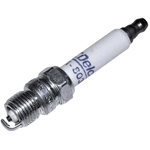 Order Double Platinum Plug by ACDELCO - 41-803 For Your Vehicle