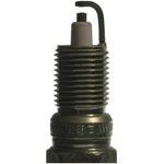 Order Double Platinum Plug by CHAMPION SPARK PLUG - 7020 For Your Vehicle