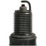 Order Double Platinum Plug by CHAMPION SPARK PLUG - 7031 For Your Vehicle