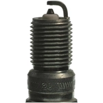 Order Double Platinum Plug by CHAMPION SPARK PLUG - 7304 For Your Vehicle