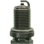 Order Double Platinum Plug by CHAMPION SPARK PLUG - 7344 For Your Vehicle
