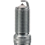 Order Double Platinum Plug by CHAMPION SPARK PLUG - 7981 For Your Vehicle