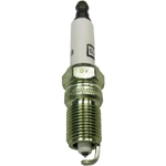 Order Double Platinum Plug by CHAMPION SPARK PLUG - 7983 For Your Vehicle