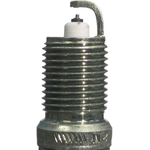 Order Double Platinum Plug by CHAMPION SPARK PLUG - 7983 For Your Vehicle