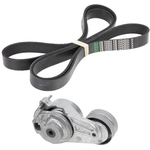 Order INA - 529-3218-100 - Accessory Drive Belt Kit For Your Vehicle