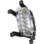 Order Driver Side Driving Lamp by DEPO - 321-1606L-AC For Your Vehicle