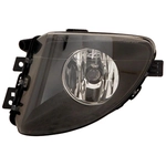 Order Driver Side Fog Lamp Assembly - BM2592140 For Your Vehicle