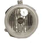 Order Driver Side Fog Lamp Assembly - CH2592135 For Your Vehicle