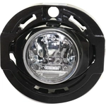 Order Driver Side Fog Lamp Assembly - CH2592153 For Your Vehicle