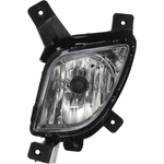 Order Driver Side Fog Lamp Assembly by DEPO - 221-2031L-AQ For Your Vehicle