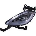 Order Driver Side Fog Lamp Assembly by DEPO - 321-2026L-ACN For Your Vehicle
