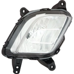 Order Driver Side Fog Lamp Assembly by DEPO - 323-2038L-AC For Your Vehicle