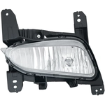 Order Driver Side Fog Lamp Assembly by DEPO - 336-2017L-AC For Your Vehicle