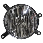 Order Driver Side Fog Lamp Assembly - FO2592207C For Your Vehicle