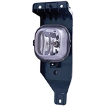 Order Driver Side Fog Lamp Assembly - FO2592211V For Your Vehicle