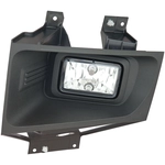 Order Driver Side Fog Lamp Assembly - FO2592241C For Your Vehicle