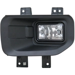 Order Driver Side Fog Lamp Assembly - FO2592244C For Your Vehicle