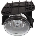 Order Driver Side Fog Lamp Assembly - GM2592128C For Your Vehicle