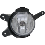 Order Driver Side Fog Lamp Assembly - GM2592300C For Your Vehicle