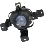 Order Driver Side Fog Lamp Assembly - GM2592309 For Your Vehicle