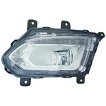 Order Driver Side Fog Lamp Assembly - GM2592316C For Your Vehicle
