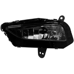 Order Driver Side Fog Lamp Assembly - GM2592317C For Your Vehicle