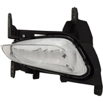 Order Driver Side Fog Lamp Assembly - GM2592321C For Your Vehicle