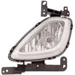 Order Driver Side Fog Lamp Assembly - HY2592138 For Your Vehicle