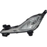 Order Driver Side Fog Lamp Assembly - HY2592142C For Your Vehicle