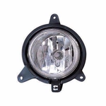 Order Driver Side Fog Lamp Assembly - KI2592107 For Your Vehicle