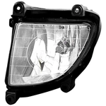Order Driver Side Fog Lamp Assembly - KI2592113 For Your Vehicle