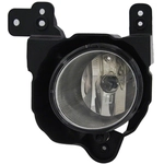 Order Driver Side Fog Lamp Assembly - KI2592119C For Your Vehicle