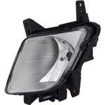 Order Driver Side Fog Lamp Assembly - KI2592131C For Your Vehicle